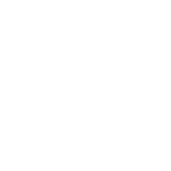 Predictive Dispatch & Route Optimization